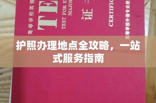 金沙护照办理地点全攻略，一站式服务指南