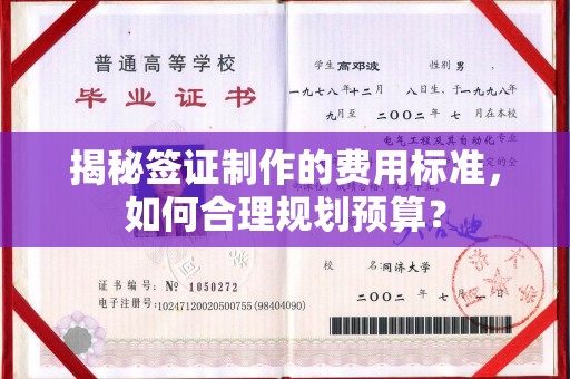 金沙揭秘签证制作的费用标准，如何合理规划预算？