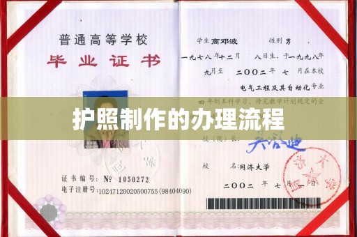 金沙护照制作的办理流程