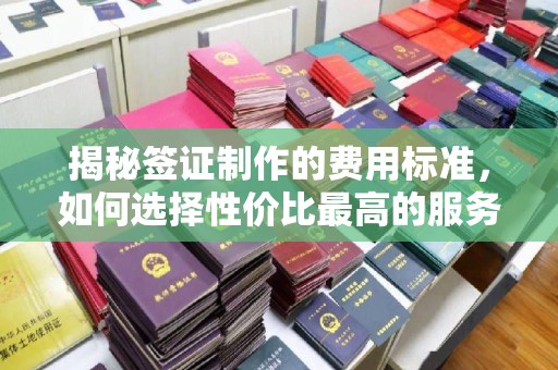 金沙揭秘签证制作的费用标准，如何选择性价比最高的服务？