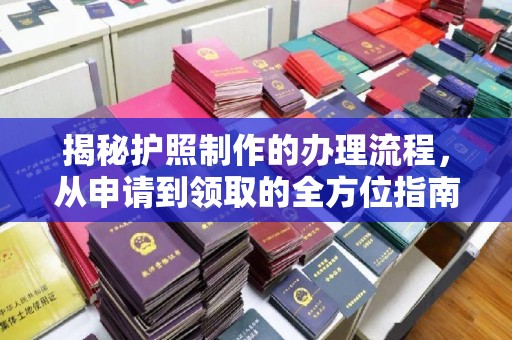 金沙揭秘护照制作的办理流程，从申请到领取的全方位指南