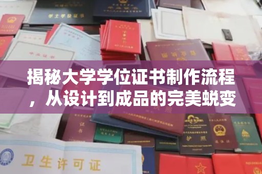 金沙揭秘大学学位证书制作流程，从设计到成品的完美蜕变