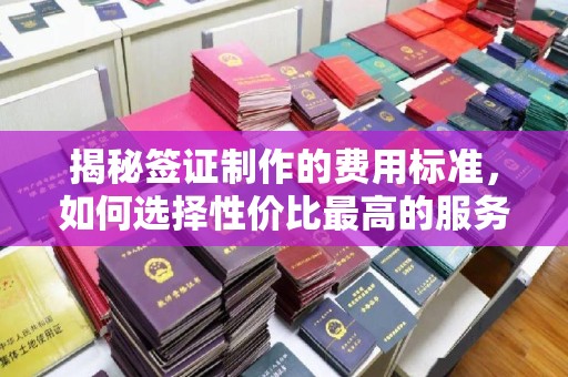 金沙揭秘签证制作的费用标准，如何选择性价比最高的服务？