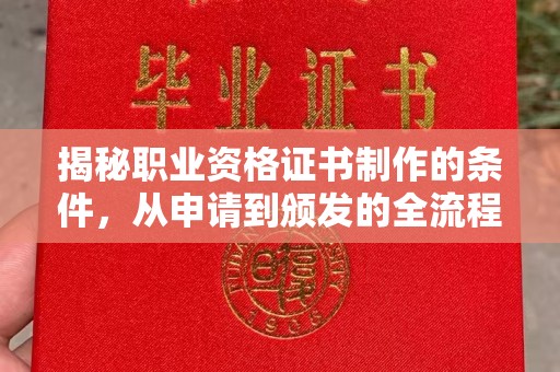 金沙揭秘职业资格证书制作的条件，从申请到颁发的全流程解析