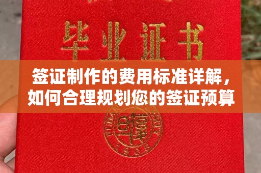 金沙签证制作的费用标准详解，如何合理规划您的签证预算